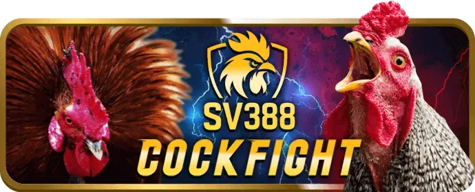 Xu hướng game casino 2024 và đề xuất từ ok789 link mới